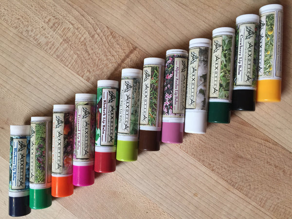 Mixed Set of 6 Lip Balms by ArXotica