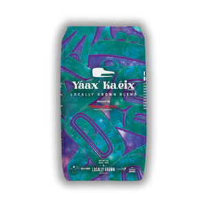 Yáaxʼ Ka.éix̱ Locally Grown Blend Coffee